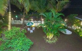 Lillywoods Nv Beach Resort